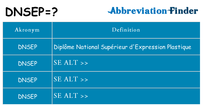 Hvad betyder dnsep står for