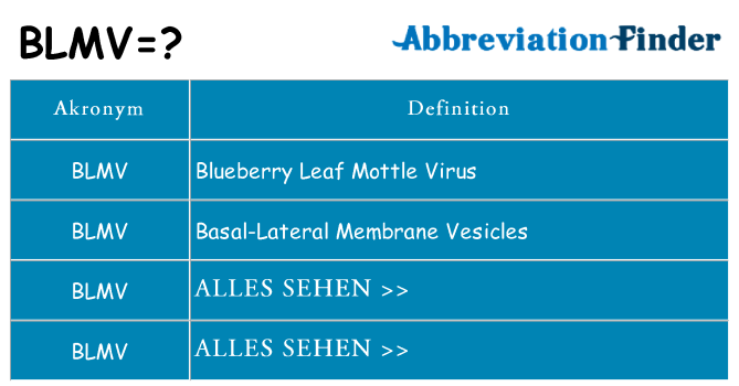 Wofür steht blmv