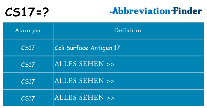 Wofür steht cs17