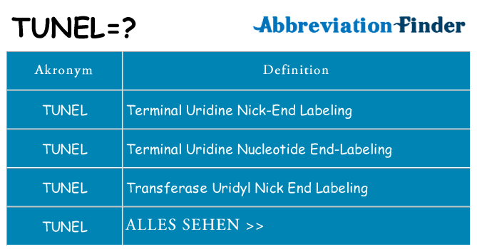 Wofür steht tunel