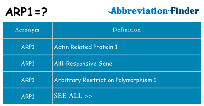 What does arp1 stand for