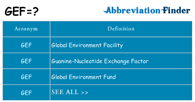 What does gef stand for