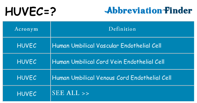 What does huvec stand for