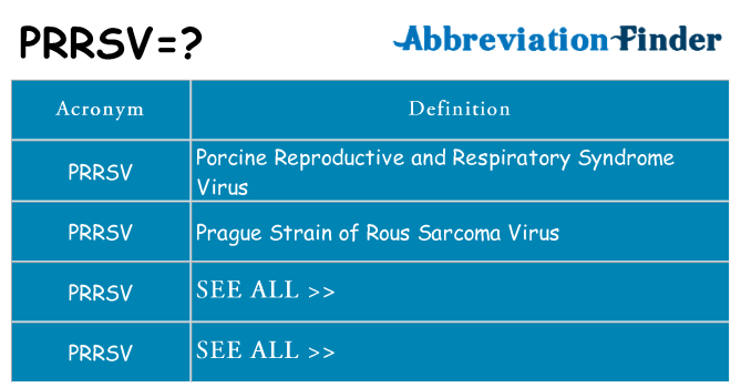 What does prrsv stand for