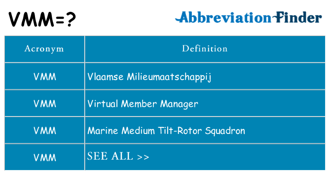 What does vmm stand for