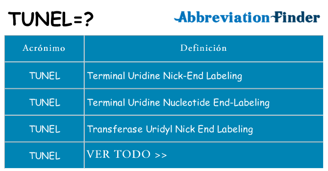 ¿Qué quiere decir tunel