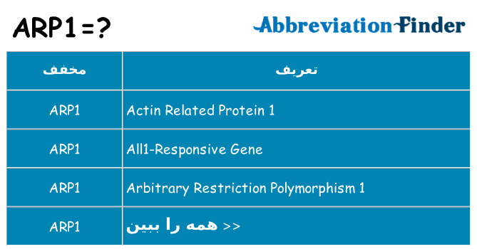 چه arp1 برای ایستادن؟