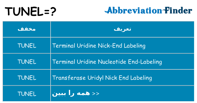 چه tunel برای ایستادن؟