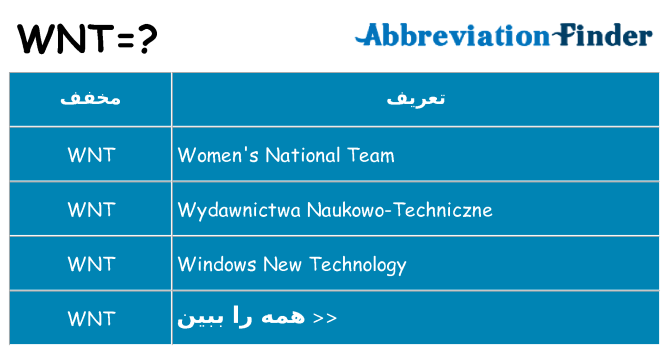 چه wnt برای ایستادن؟
