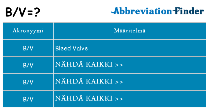 Mitä bv tarkoittaa