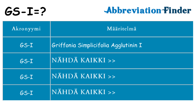 Mitä gs-i tarkoittaa