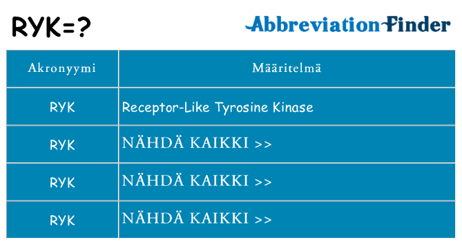 Mitä ryk tarkoittaa