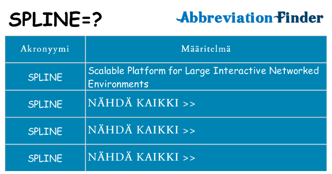 Mitä spline tarkoittaa