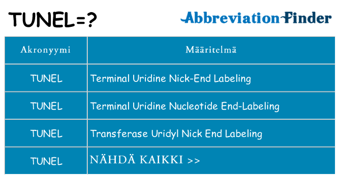 Mitä tunel tarkoittaa