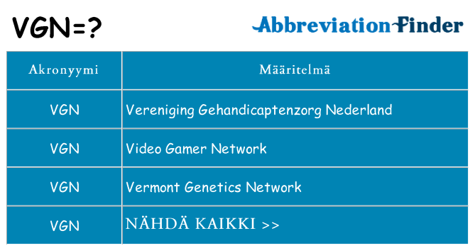 Mitä vgn tarkoittaa