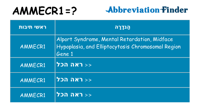 מה הפירוש ammecr1