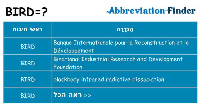 מה הפירוש bird
