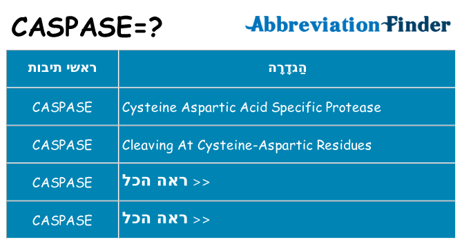 מה הפירוש caspase
