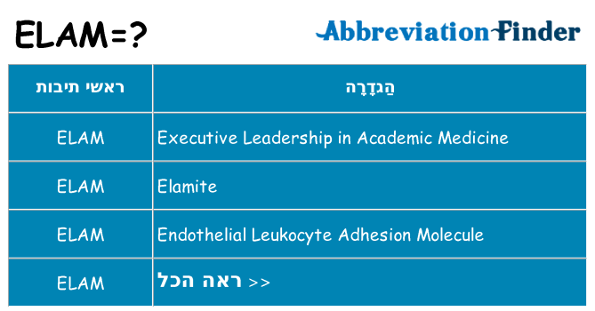 מה הפירוש elam