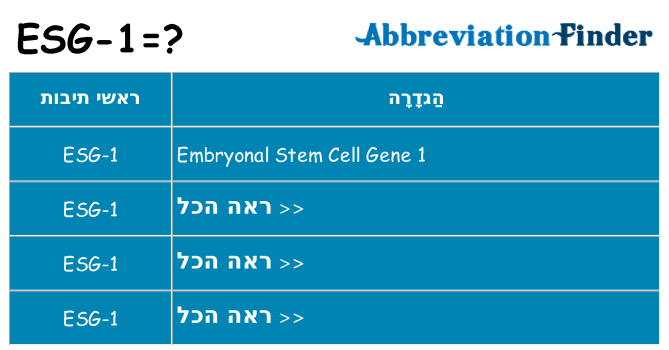 מה הפירוש esg-1