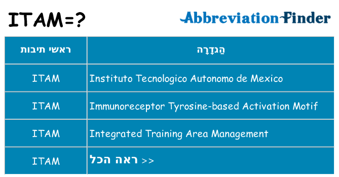 מה הפירוש itam