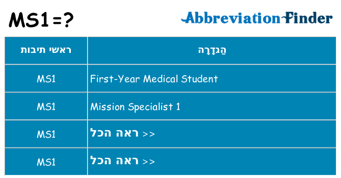מה הפירוש ms1