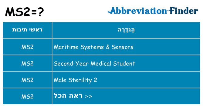 מה הפירוש ms2