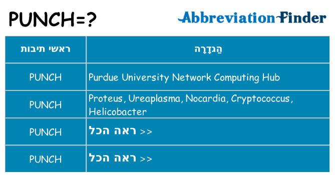 מה הפירוש punch