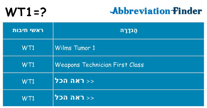 מה הפירוש wt1