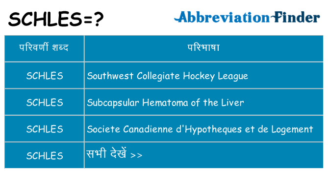 schles का क्या अर्थ है