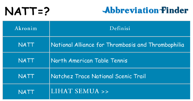 Apa natt berdiri untuk