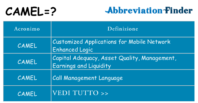 Che cosa significa l'acronimo camel