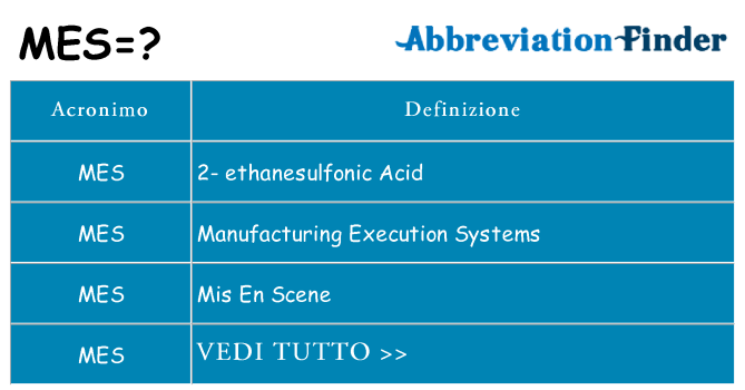 Che cosa significa l'acronimo mes