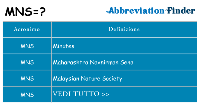 Che cosa significa l'acronimo mns