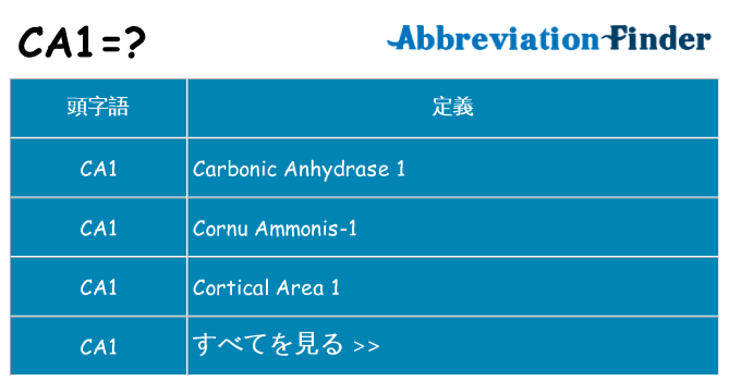 ca1 は何の略します。