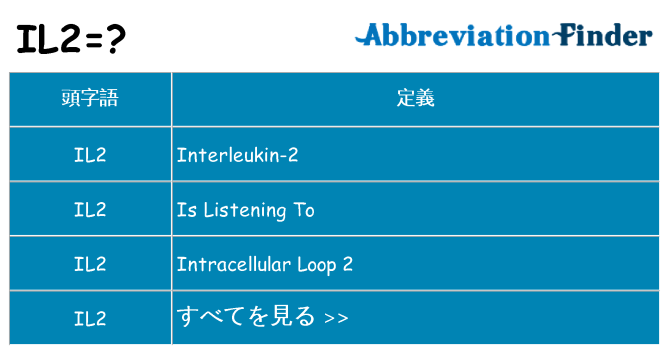 il2 は何の略します。