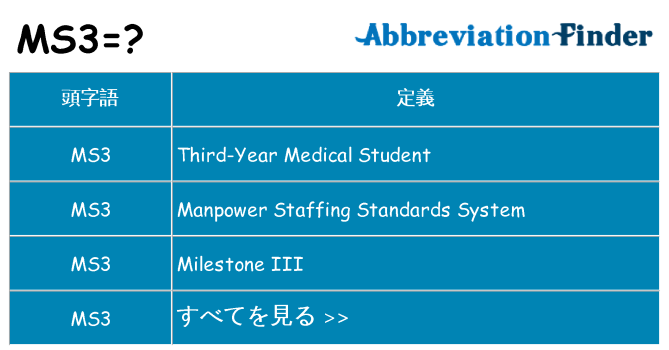 ms3 は何の略します。