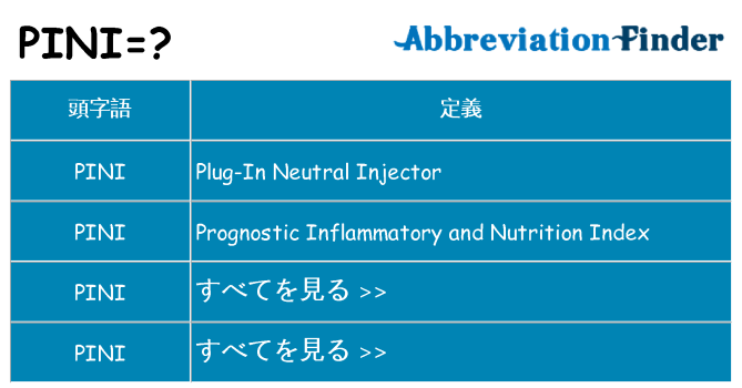 pini は何の略します。