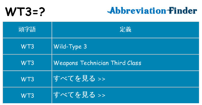 wt3 は何の略します。