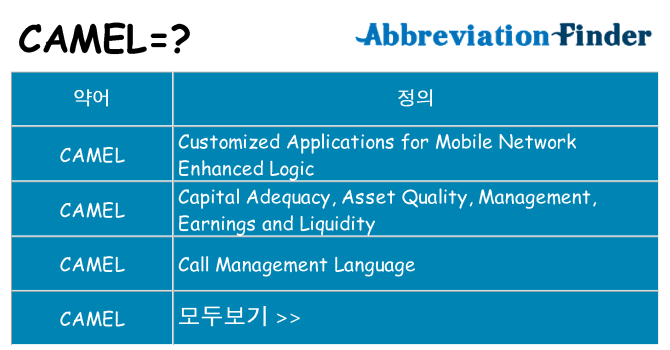 camel 대 한 무엇을 서가