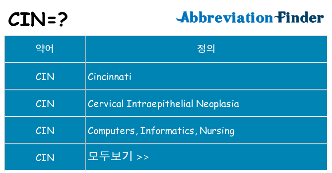 cin 대 한 무엇을 서가