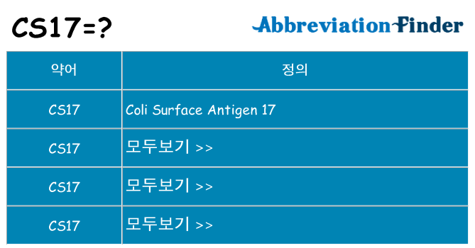 cs17 대 한 무엇을 서가