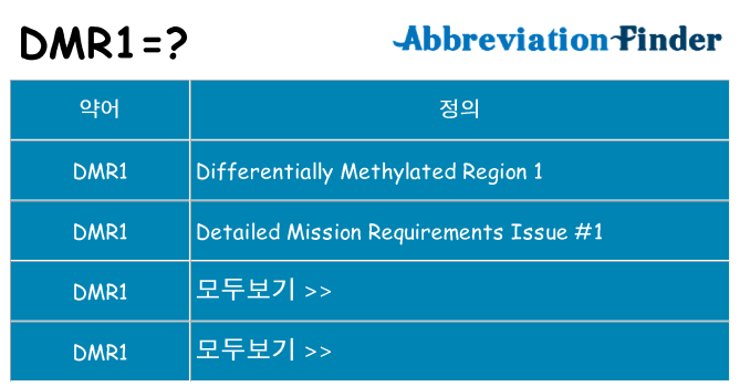 dmr1 대 한 무엇을 서가