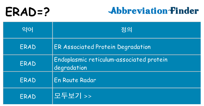 erad 대 한 무엇을 서가