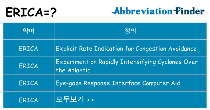 erica 대 한 무엇을 서가