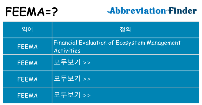 feema 대 한 무엇을 서가