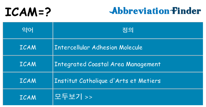 icam 대 한 무엇을 서가