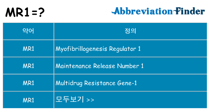 mr1 대 한 무엇을 서가