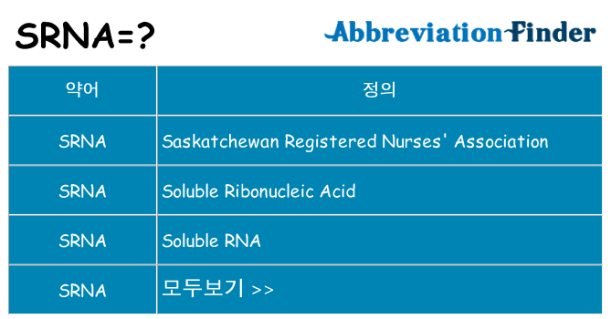 srna 대 한 무엇을 서가