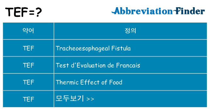 tef 대 한 무엇을 서가